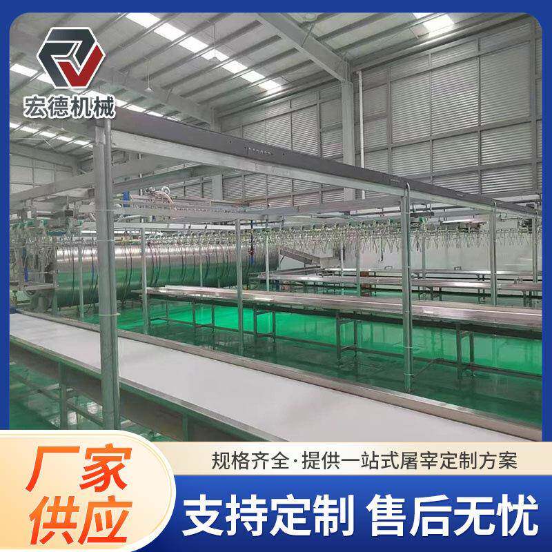 淘汰蛋鸡屠宰线淘汰蛋鸡屠宰脱毛设备小型杀淘汰蛋鸡脱毛生产线
