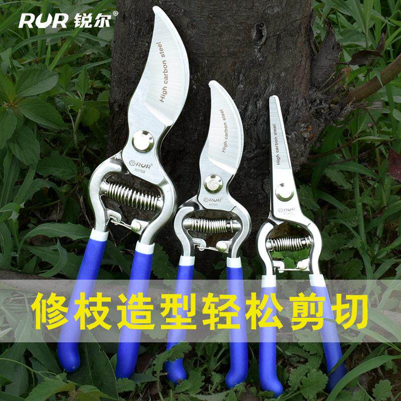 修枝剪刀果树剪刀花剪园艺剪子花艺修剪树枝剪刀花枝剪修花粗枝剪图片
