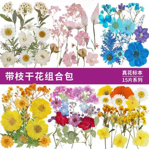 带枝真花干花diy材料15片 滴胶手机壳压花组合包手工团扇贺卡书签