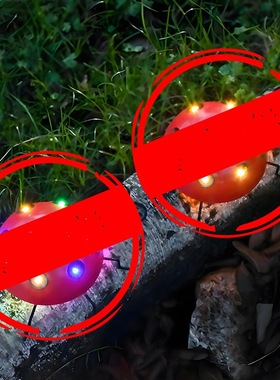 热卖新款户外太阳能铁艺七星瓢虫装饰灯花园仿真动物壁挂庭院灯