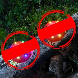 饰灯花园仿真动物壁挂庭院灯 户外太阳能铁艺七星瓢虫装 热卖 新款