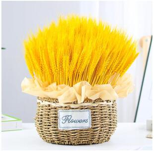 天然金色麦穗干花花束开业大麦客厅田园装饰摆件插花花蓝草编花盆