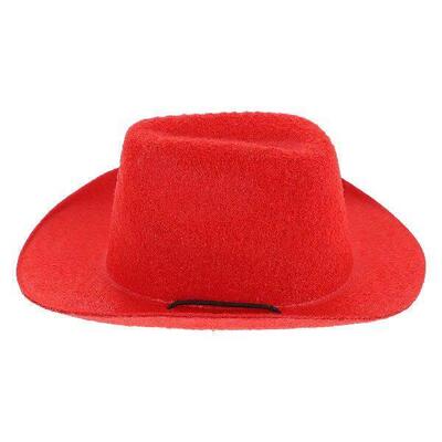 Premium Non Woven Pet Hat For Dogs Cats Stylish Western