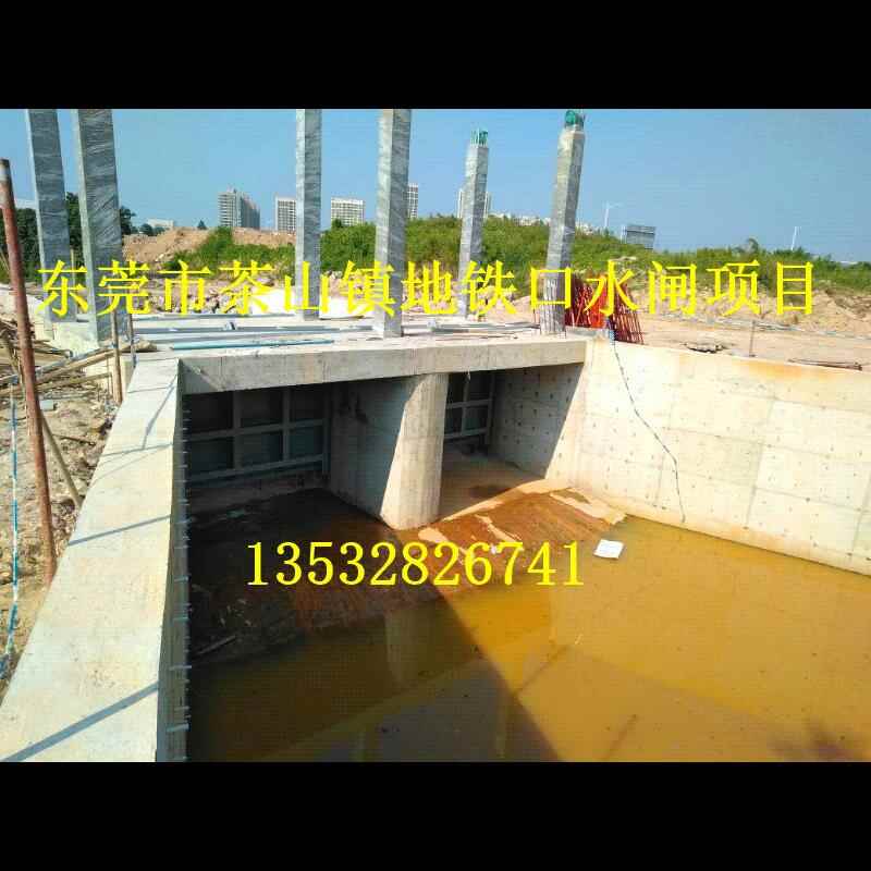 东莞市茶山镇节制闸项目88000元/套厂家定制价格优惠