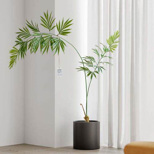 斯堪的纳维亚模拟绿色植物德宝苏铁假树植物客厅沙发家落地室内装
