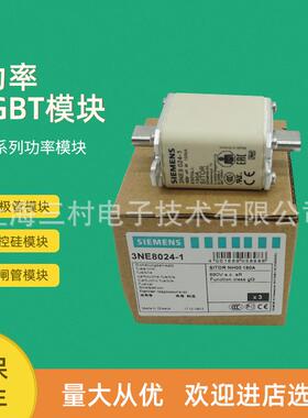 熔断器3NE8017-13NE8018-11020-21021-21022-21820-01224-2