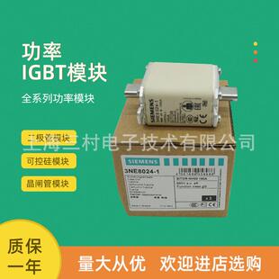 13NE8018 0122 熔断器3NE8017 21022 21820 21021 折扣价 11020