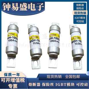 125ULTC 100 熔断器 日之出保险丝660GH