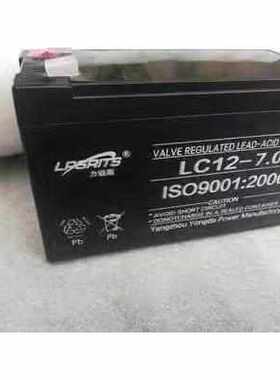 力锐斯蓄电池6-GFM-100 12V100A120A150A200A65A38A24A17AH直流屏