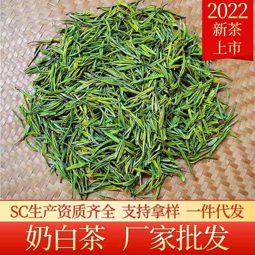 2025新茶明前奶白茶黄金芽白茶叶白化度高雨前茶高山绿茶货源