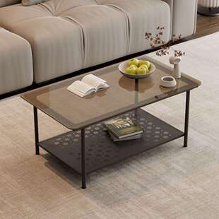 轻奢小户型家用茶几网红高级感双层钢化茶桌奶油风客厅收纳长方桌