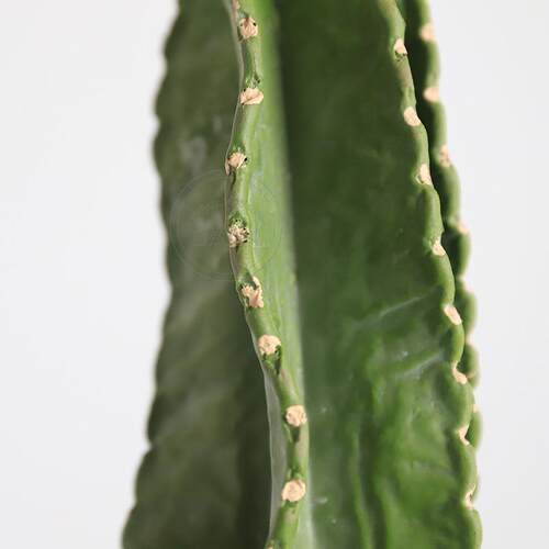 PU仙人柱大型天轮柱假仙人掌仿真沙生植物装饰摆件假绿植仿真花