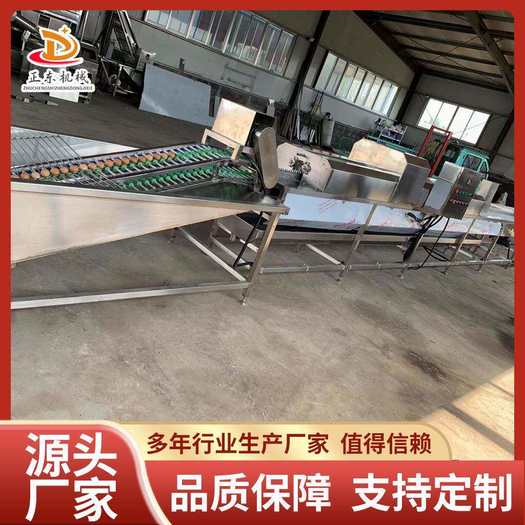 洗蛋机松花蛋污泥清洗机双排松花蛋污泥毛刷清洗机设备
