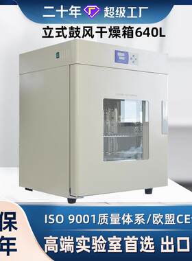 中新高温工业烤箱立式电热恒温干燥箱大型烘箱高低温试验箱640L