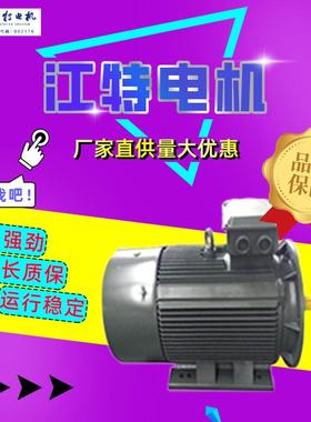 江西江特电机 YPB、YPBF系列通用三相异步电动机30KW45KW厂家直供