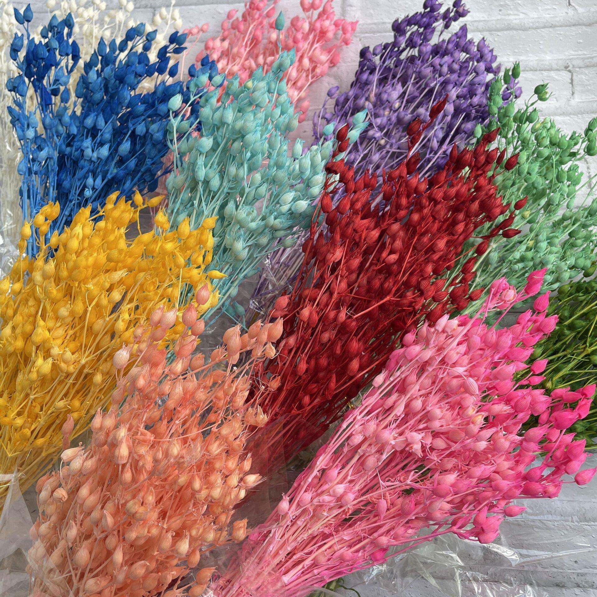 云南浮游瓶蜡烛香薰DIY手工花材蝇子草干花英子草多色批