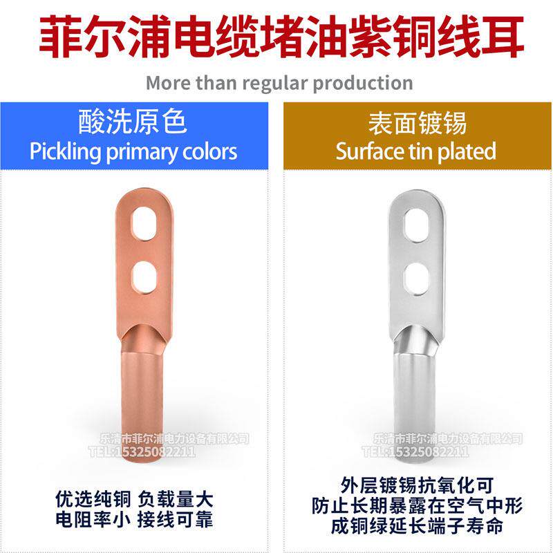 DTS双孔铜鼻子DT-25/35/70/120电缆镀锡铜线耳双眼接线头接线端子