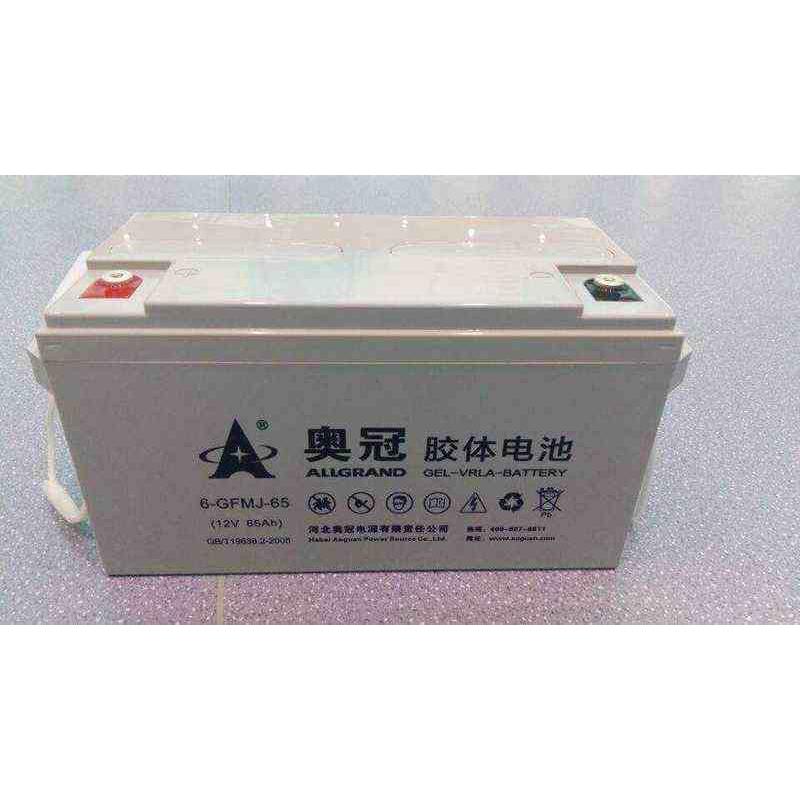 奥冠胶体蓄电池 6-GFMJ-65 12V65AH 直流屏 UPS 太阳能 光伏 路灯