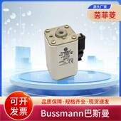 170M4389 170M4390 170M4391 熔断器170M4388 170M4392 170M4393