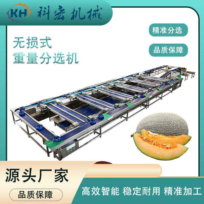 机械无损式重量分选机菠萝哈密瓜西瓜无损式重量分选智能分拣