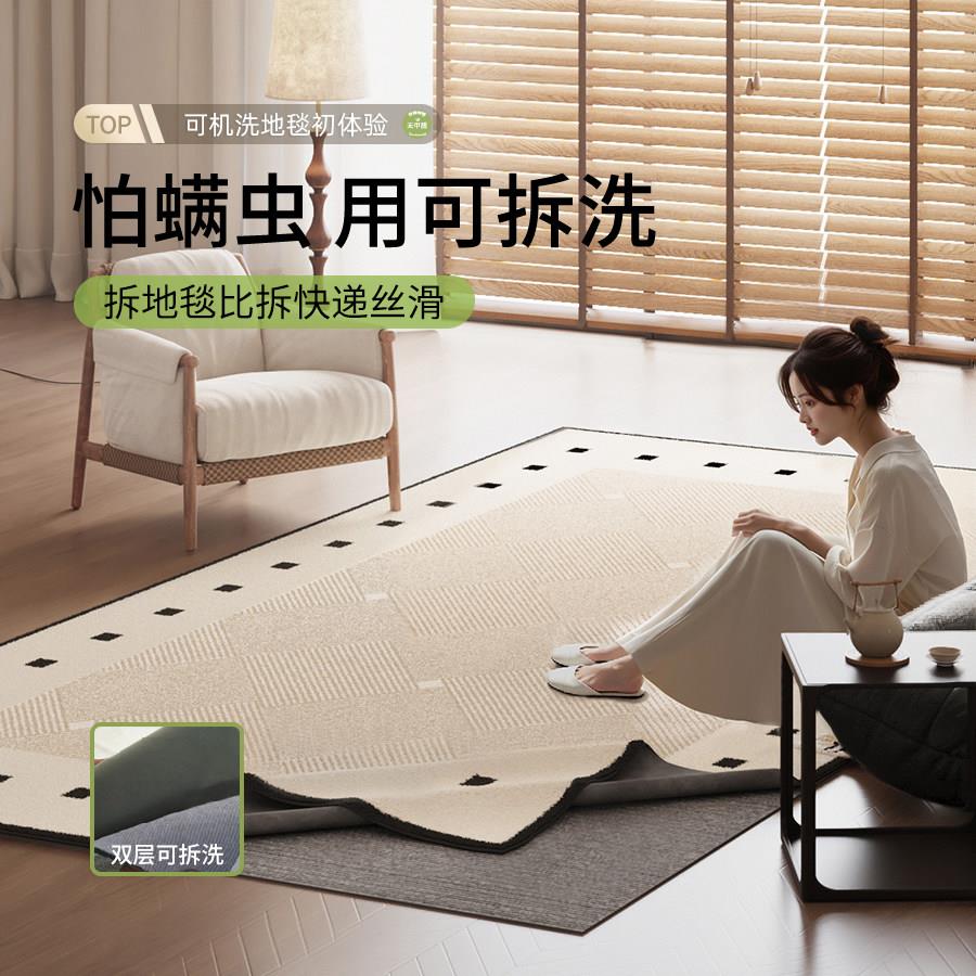 双层可拆洗地毯可机洗客厅卧室床边毯家用隔音地垫镇平天津崔黄口