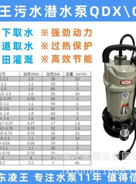 凌王水泵潜水泵污水泵QDX农田灌溉河道取水井内抽水工业排