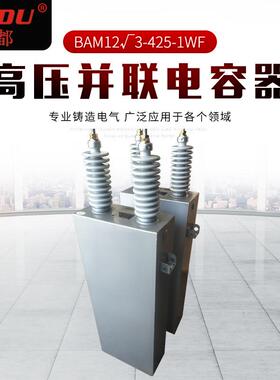 高压并联电容器BAM12√3-425-1WF 集合式高压并联电容器 现货