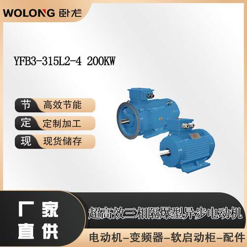 YFB3-315L2-4 200KW矿山防爆电机节能型防爆电机工业防爆电机
