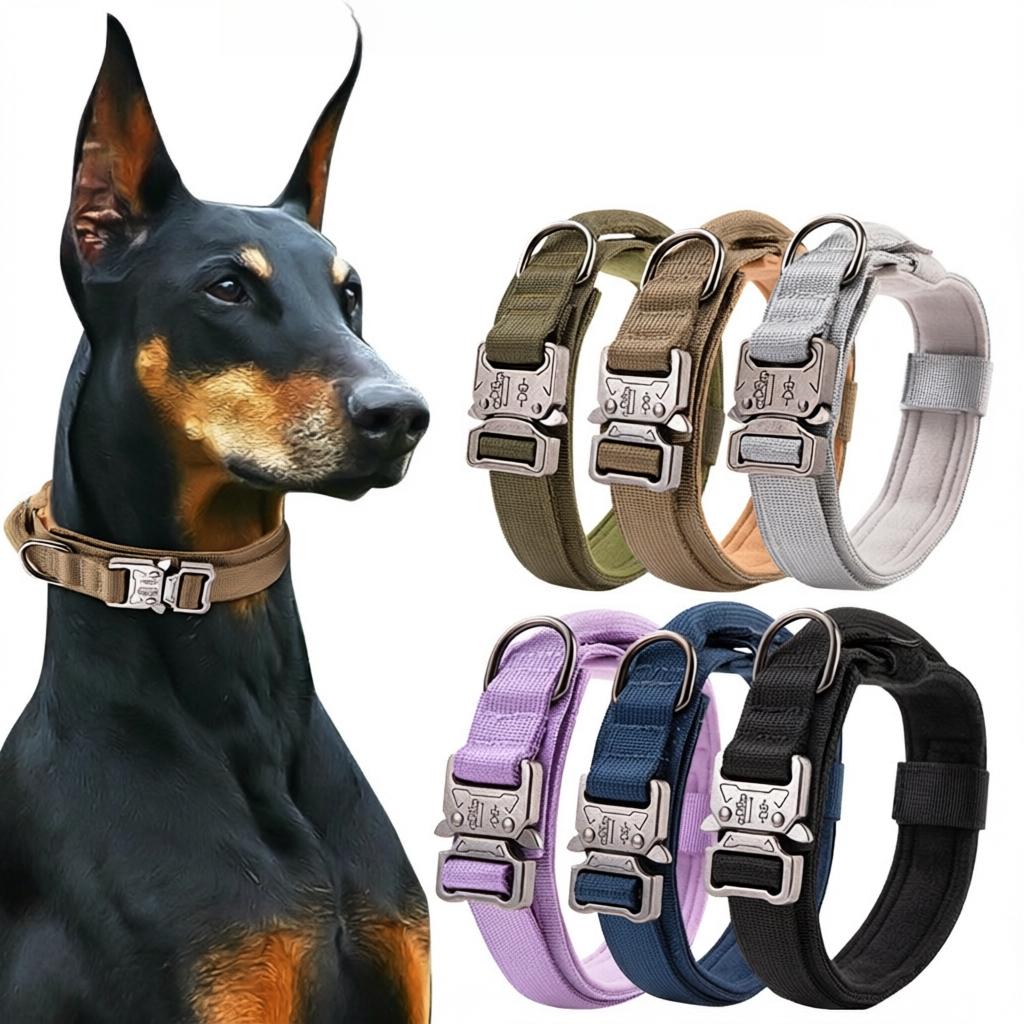 大型犬战术战术项圈项圈狗牵引绳