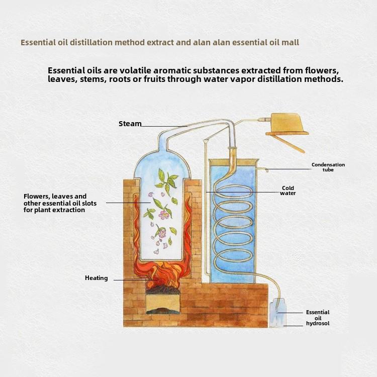 高档摩德国洋甘菊精油舒缓敏感经络1ml去除红0肿0香薰按单一精油