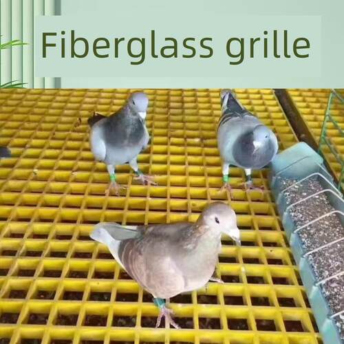 玻璃纤维格栅鸽子屋地板网格小孔网格板泄漏繁殖格栅鸽子屋网格板