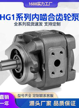 HG1系列齿轮泵替代EIPH3IPV5-32IPV5-40IPV5-50注塑机伺服泵