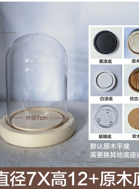 加高桌面品核桃昆虫摆件玻璃罩收藏星堡展示罩古玩珠宝木塞