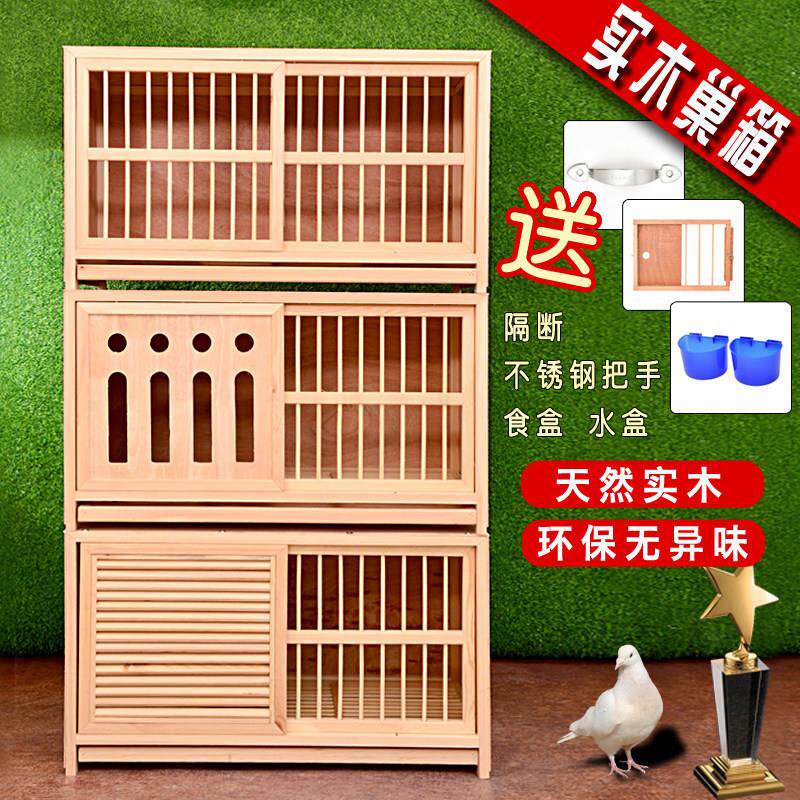 赛鸽配对笼信鸽赛飞巢箱 养殖笼种鸽调节笼定制