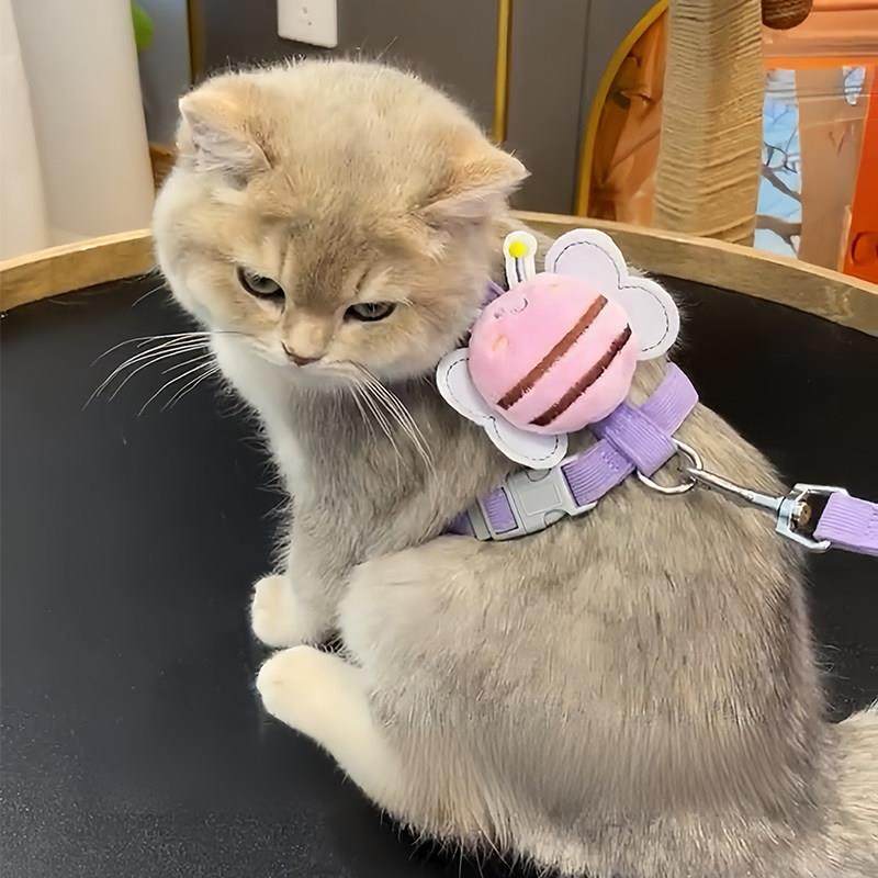 猫牵引绳，防止在外出时断裂，特殊布娃娃金梯度缅因训练猫绳，猫,宠物/宠物食品及用品,猫牵引绳,淘宝优惠券,粉丝福利购,淘宝优惠卷