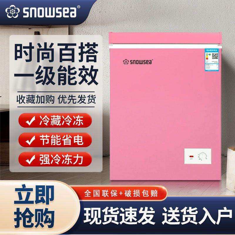 香雪海迷你小冰柜家用小型冷柜冷冻冷藏立式两用出租房宿舍大容量