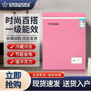 香雪海迷你小冰柜家用小型冷柜冷冻冷藏立式两用出租房宿舍大容量