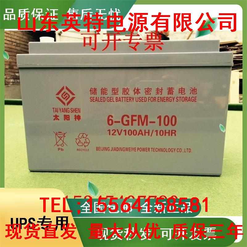 6-FM-100/12V100AH  /6-FM-110/12V110AH发电站 专用