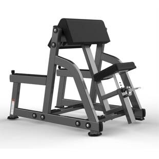 2004 二头肌训练机型号：FW