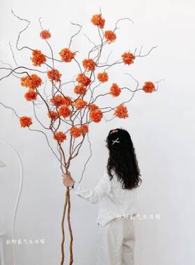 天然龙柳干枝绣球干花永生花氛围感大型家居落地插花装饰摆设橙色