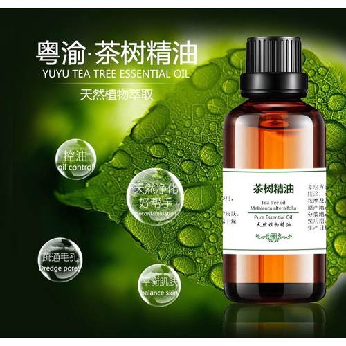 正品澳洲茶树油面部50m精l收缩毛正品单方 亮植物提肤色按摩teatr