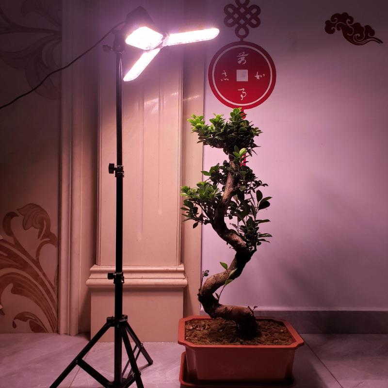 植物补光灯架三脚伸缩带开关e27螺口灯座灯头室内通用型落地支架图片
