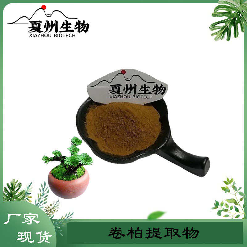 卷柏提取物  10/20/30:1规格夏州生物  现货供应 公斤装