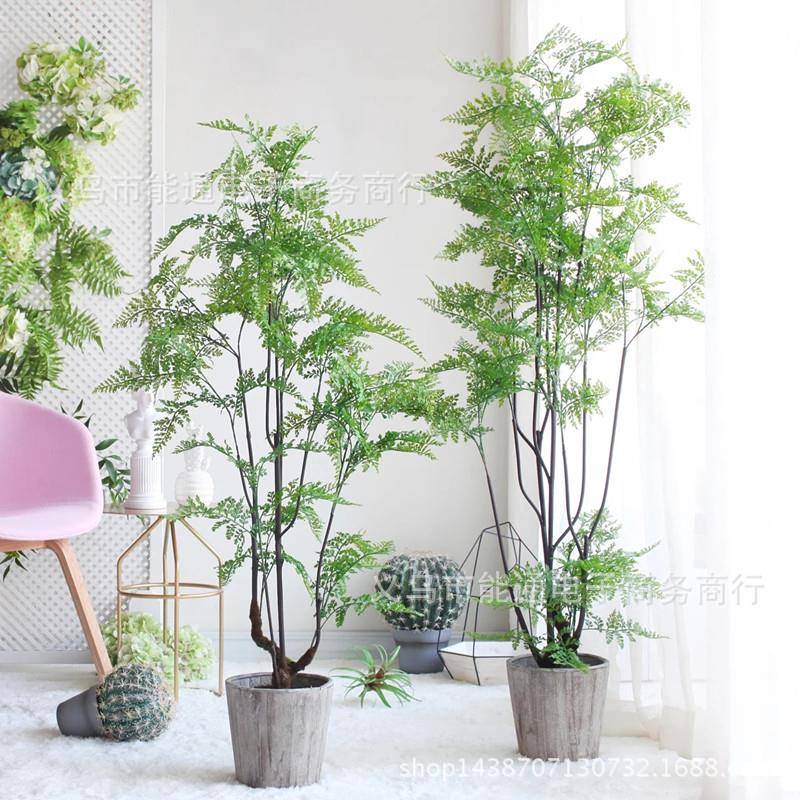 仿真绿色植物 蕨叶树大盆栽盆景餐饮酒店 家居客厅办公室摆设