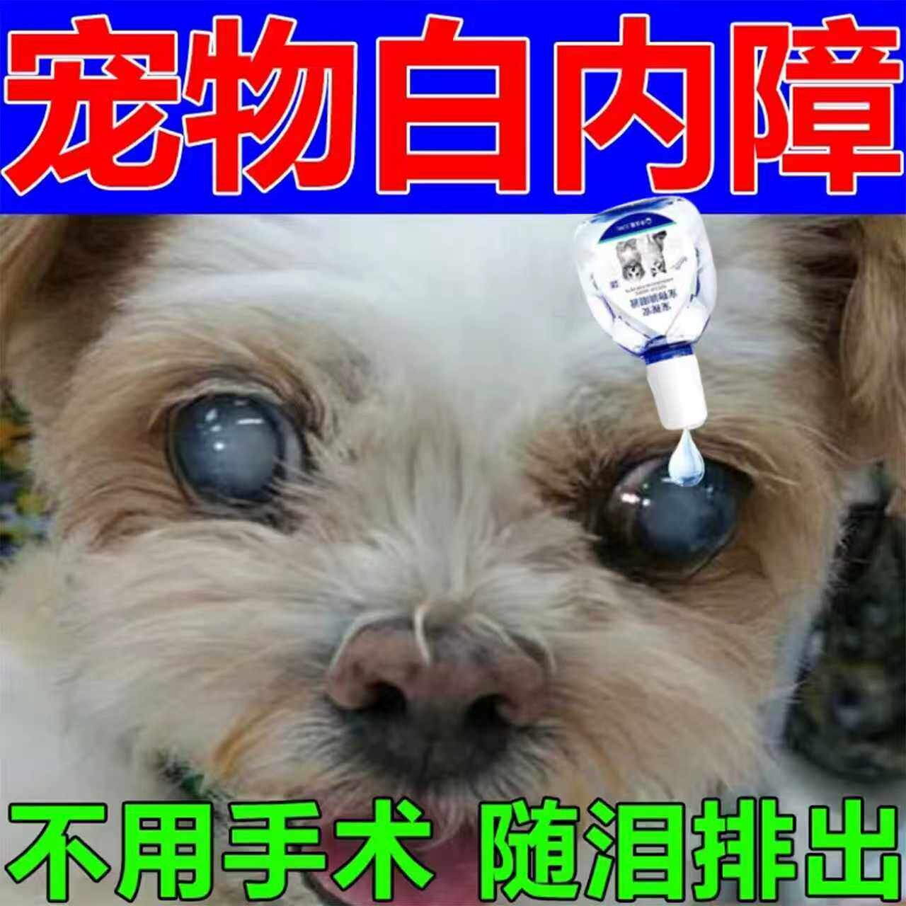 狗狗专用眼药水宠物猫咪老年犬滴眼液幼猫千寿