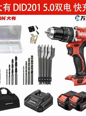 堡讯大有5205线 线上款DID201锂电无刷冲击钻家用充电式拉车盖布