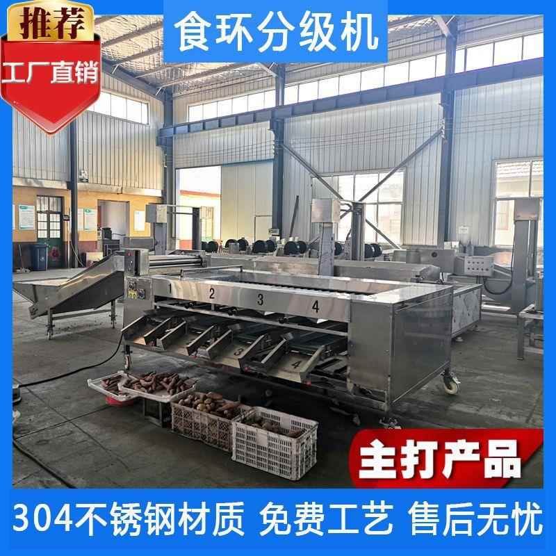 食品分级机滚杠式分级机马铃薯分级机胡萝卜大小分级机选果机