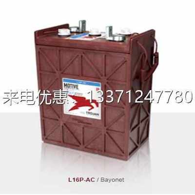 TROJAN邱健J305P-AC 6V315AH洗地机升降机 6V系列蓄电池