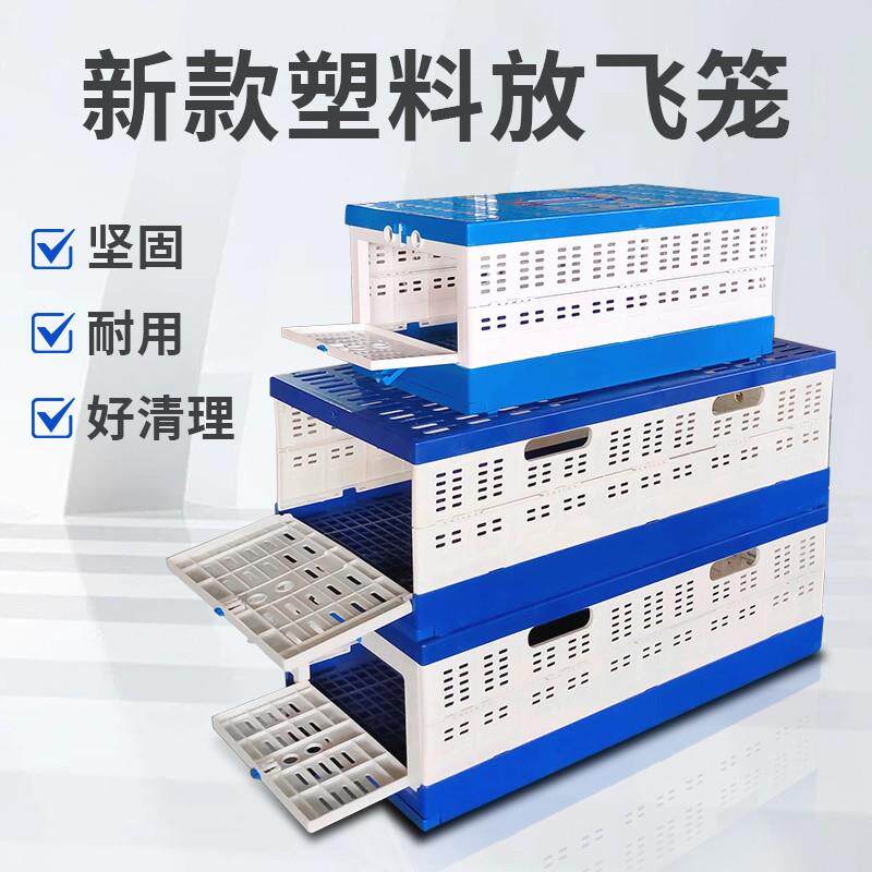 津羽王信鸽赛鸽笼ABS塑料折叠放飞笼 鸽子用品用具训放笼鸽子笼子