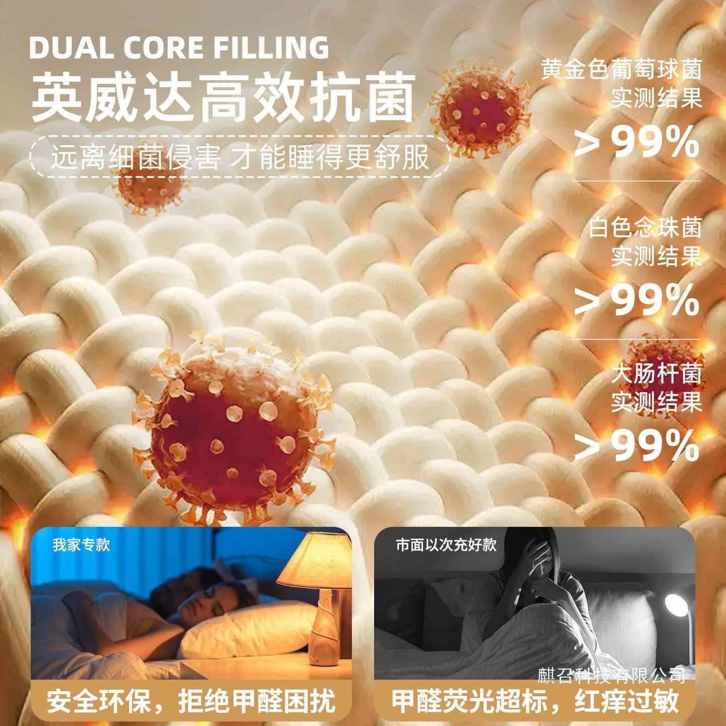 乳胶THWKLKDA床垫垫款家用垫卧室海绵子宿舍学生单人床租房榻软榻